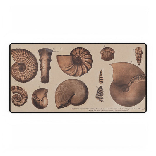 Fossil Shells Desk Mat