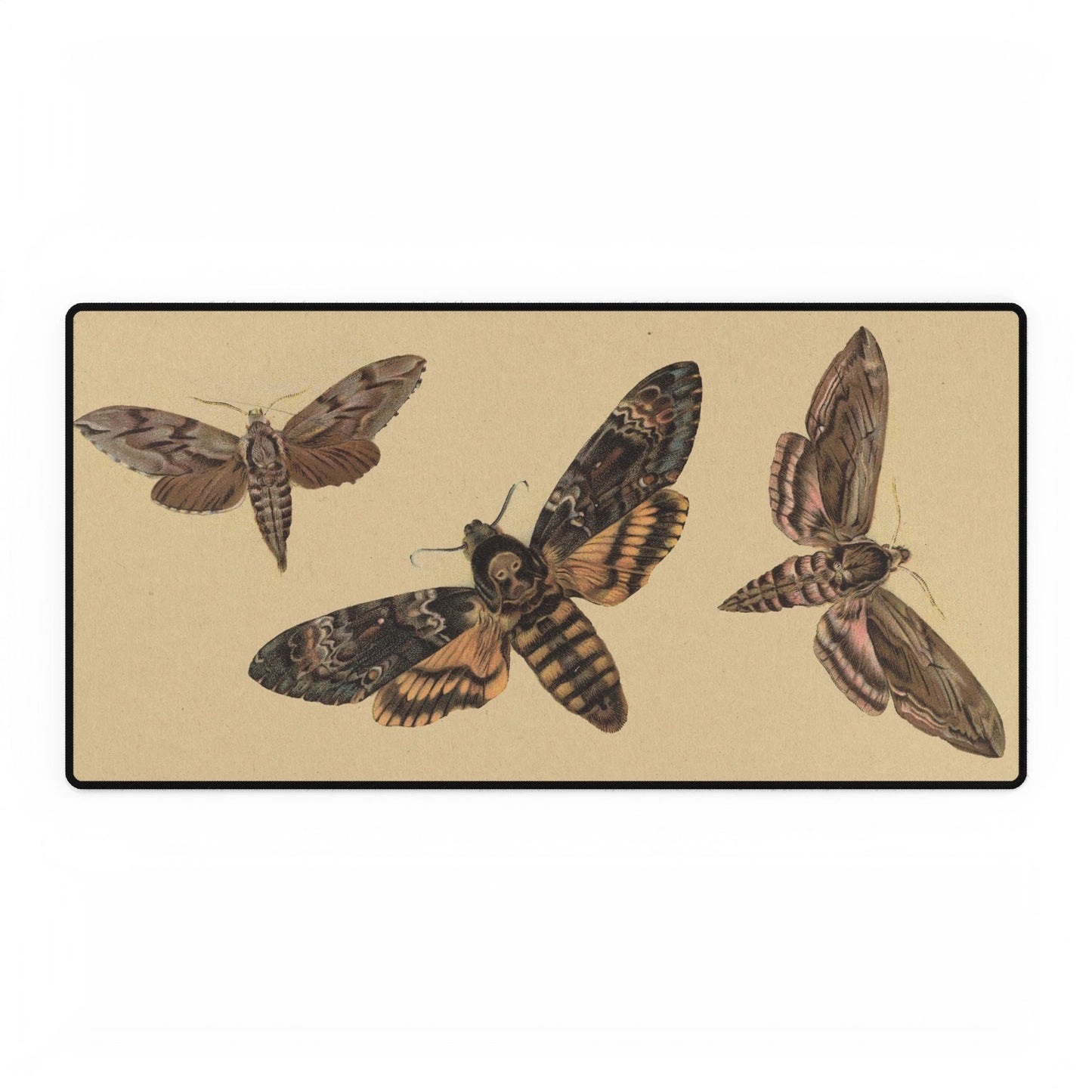 Vintage Moths Desk Mat | Antique Botanical Art | XL Mouse Matt | Accessories For Home & Office