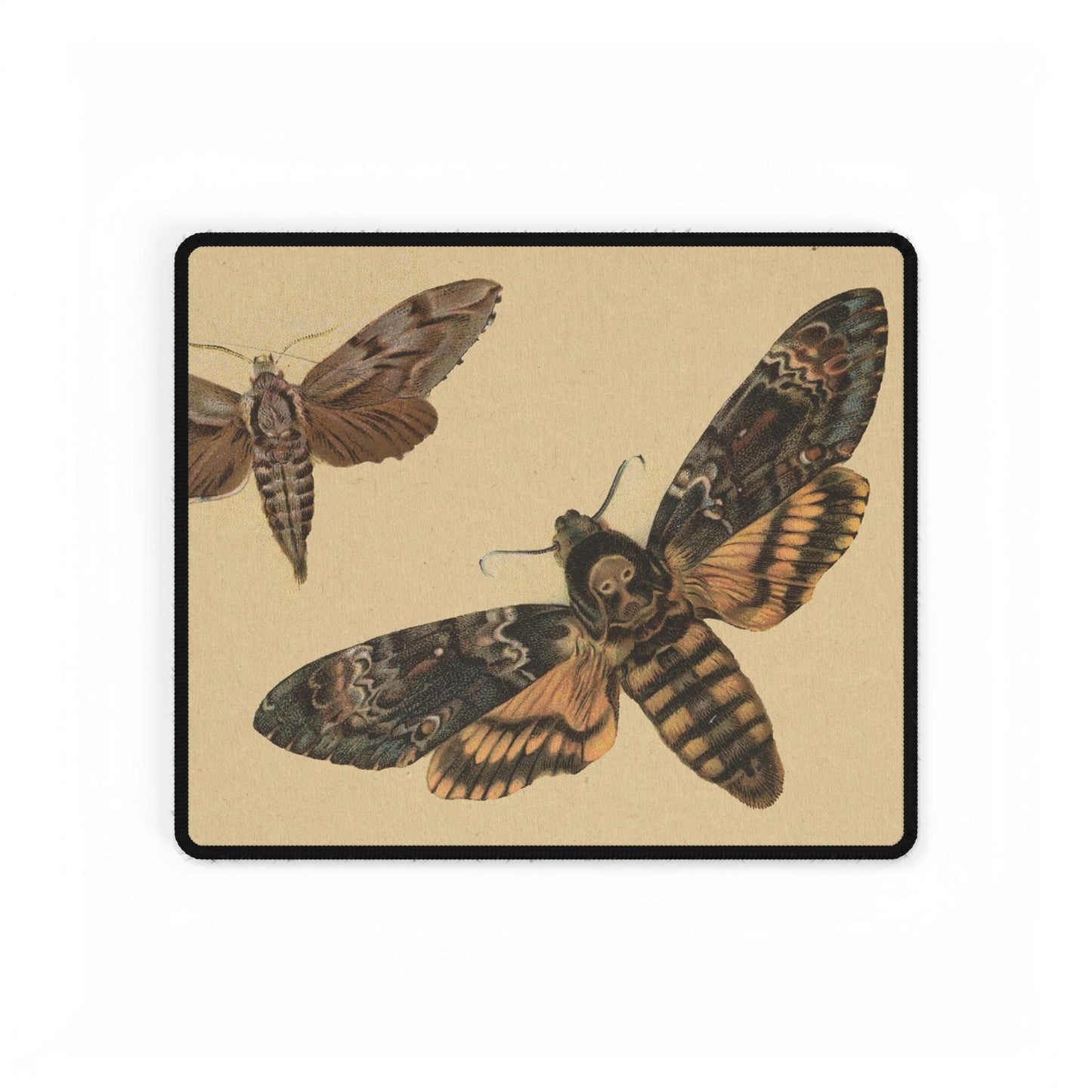 Vintage Moths Desk Mat | Antique Botanical Art | XL Mouse Matt | Accessories For Home & Office