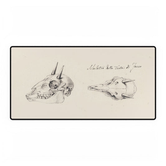 Horned Skull Anatomy Desk Mat