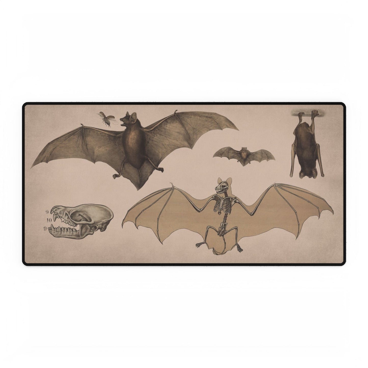 Vintage Bat Anatomy Desk Mat | XL Mouse Matt | Accessories For Home & Office